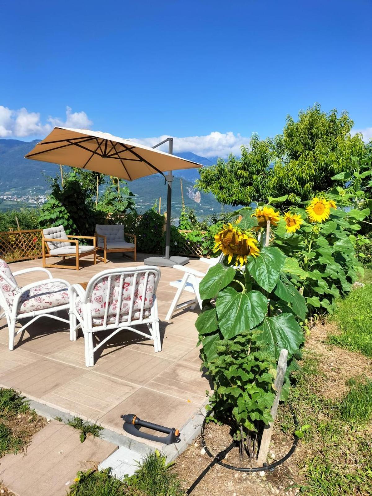 I Girasoli Sanzeno Buitenkant foto