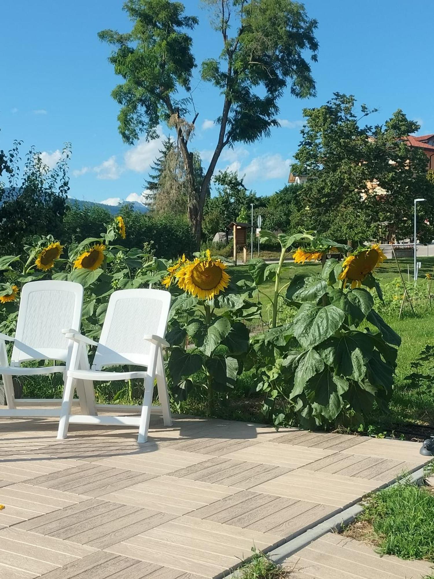 I Girasoli Sanzeno Buitenkant foto