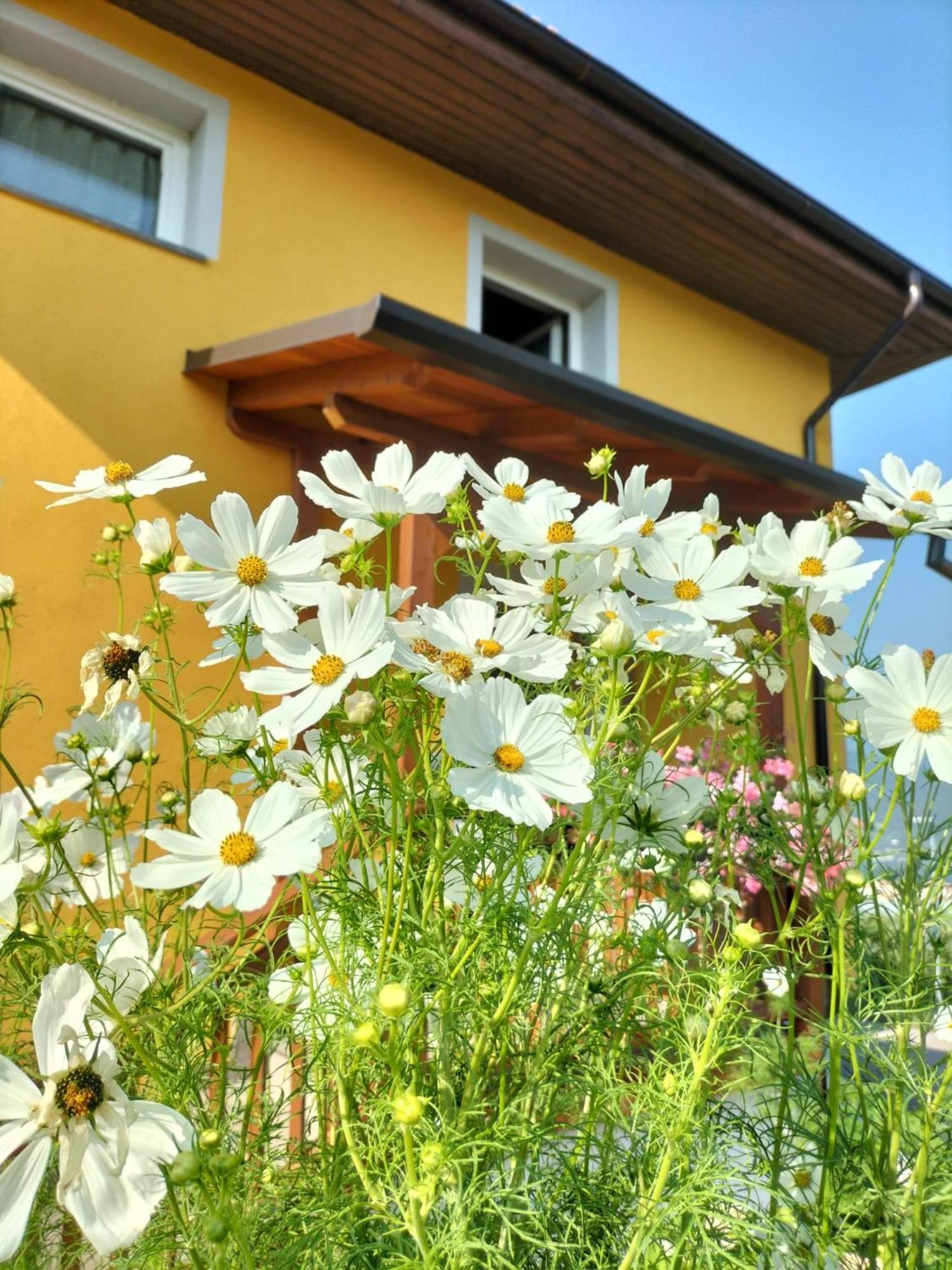 I Girasoli Sanzeno Buitenkant foto